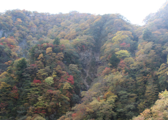 201510-8.jpg
