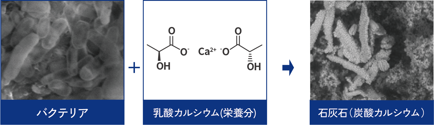 バジリスクメカ1.png