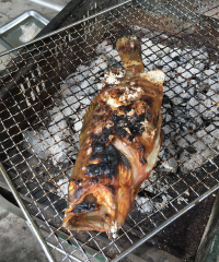 20160717-9.jpg