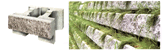 �l�N�X�g�[��